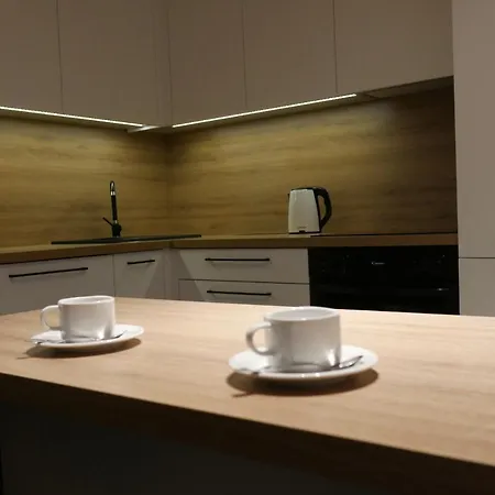 New Flat For Rent Air Conditioning In The Nowe Mieszkanie - Centrum Klimatyzacja W Mieszkaniu 奥斯威辛