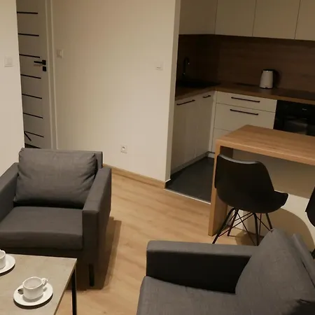 New Flat For Rent Air Conditioning In The Nowe Mieszkanie - Centrum Klimatyzacja W Mieszkaniu Lejlighed