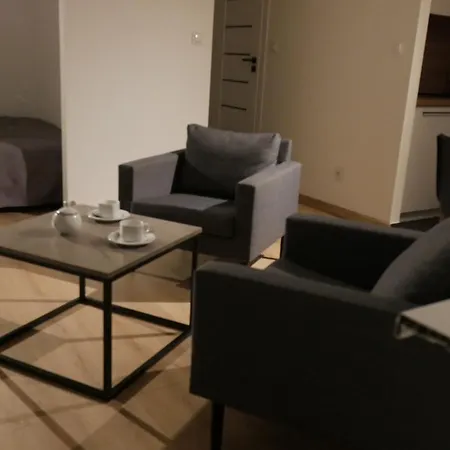 New Flat For Rent Air Conditioning In The Nowe Mieszkanie - Centrum Klimatyzacja W Mieszkaniu Apartamento *